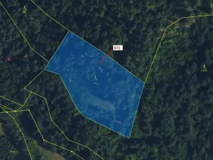 Dražba lesa, Lhota Rapotina, 4308 m2