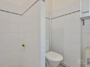 Prodej činžovního domu, Ústí nad Labem, Masarykova, 608 m2