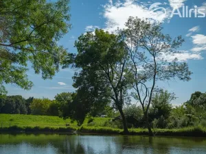 Prodej pozemku pro bydlení, Bulhary, 776 m2