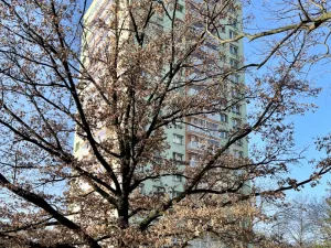 Prodej bytu 2+1, Ostrava - Mariánské Hory, Gen. Hrušky, 63 m2