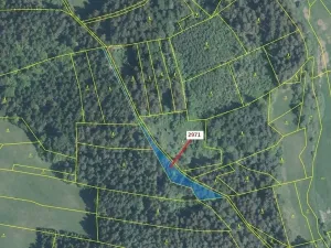 Dražba lesa, Lačnov, 1723 m2