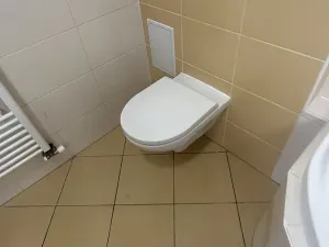 Pronájem bytu 2+1, Ostrava, Petra Křičky, 58 m2