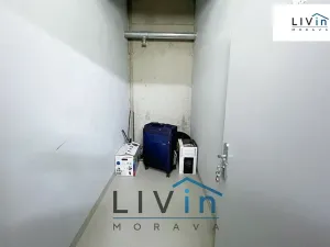 Pronájem bytu 2+kk, Olomouc, Wolkerova, 58 m2