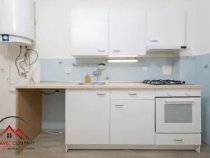 Pronájem bytu 1+1, Ostrava, Newtonova, 41 m2