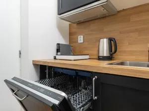 Pronájem bytu 1+kk, Ostrava, Cihelní, 17 m2