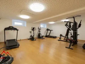 Pronájem bytu 1+kk, Ostrava, Cihelní, 17 m2