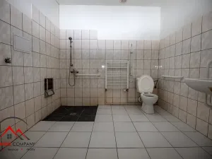 Pronájem bytu 1+kk, Třemešná, 40 m2