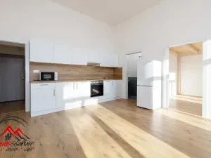 Pronájem bytu 2+kk, Ostrava, Palackého, 51 m2