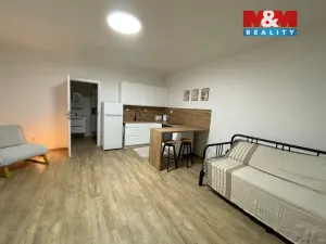 Pronájem bytu 1+kk, Ostrava - Nová Ves, Na Lánech, 30 m2
