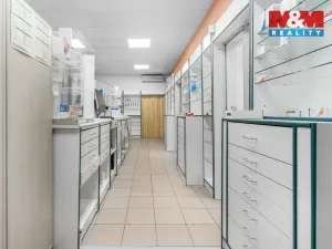 Pronájem obchodního prostoru, Ústí nad Labem - Severní Terasa, Šrámkova, 181 m2