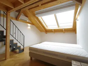 Pronájem atypického bytu, Praha - Nové Město, Bolzanova, 199 m2