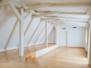 Pronájem bytu 5+1, Praha - Malá Strana, Újezd, 286 m2