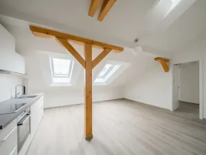 Pronájem bytu 2+kk, Praha - Nové Město, Václavské náměstí, 63 m2