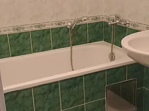 Pronájem bytu 1+1, Praha - Braník, Zemanka, 47 m2