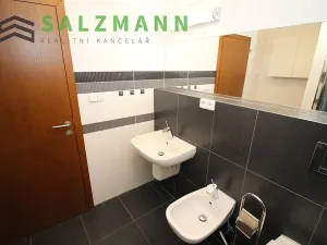 Prodej bytu 2+kk, Plzeň, Divadelní, 57 m2