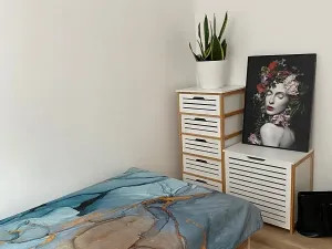 Prodej bytu 3+kk, Ostrava, Václava Košaře, 44 m2