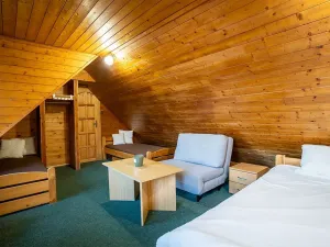 Prodej ubytování, Strážné, 450 m2