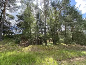 Prodej pozemku, Slavonice - Stálkov, 1831 m2