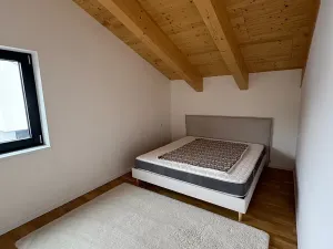 Prodej rodinného domu, Loučná pod Klínovcem, 180 m2