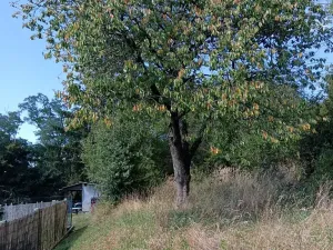 Prodej zahrady, Bojkovice, 1208 m2