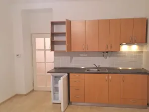 Pronájem bytu 1+kk, Praha - Braník, Pod vinohradem, 27 m2