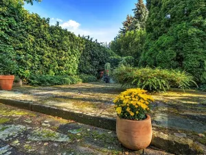 Prodej rodinného domu, Hradec Králové, Vlčkovická, 256 m2