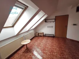 Prodej bytu 3+kk, Brno, Botanická, 102 m2