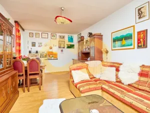 Prodej bytu 3+kk, Borek, Družstevní, 67 m2