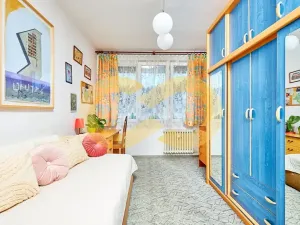 Prodej bytu 3+kk, Borek, Družstevní, 67 m2