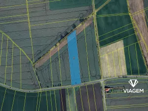 Prodej podílu pole, Cerhenice, 1181 m2