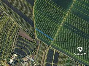 Prodej pole, Mutěnice, 1151 m2