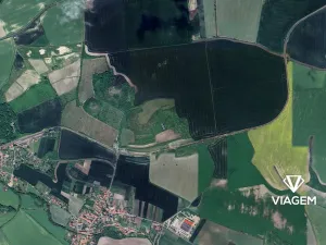 Prodej zahrady, Děčany, 429 m2