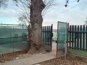 Pronájem rodinného domu, Neratovice, Kostelecká, 90 m2