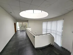 Pronájem výrobních prostor, Brno, Franzova, 785 m2