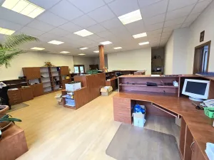 Pronájem výrobních prostor, Brno, Franzova, 785 m2