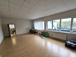 Pronájem výrobních prostor, Brno, Franzova, 785 m2