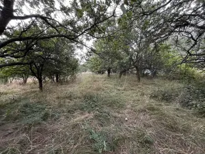 Prodej zahrady, Oslavany, 3447 m2
