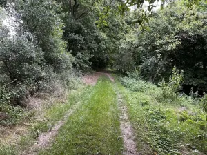 Prodej zahrady, Oslavany, 3447 m2