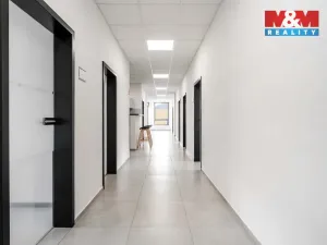Pronájem kanceláře, Děčín - Děčín II-Nové Město, Benešovská, 320 m2