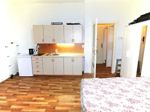 Pronájem bytu 1+kk, Praha - Nové Město, Na zbořenci, 24 m2
