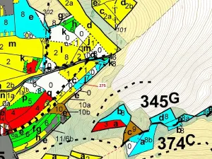 Dražba lesa, Kateřinice, 4826 m2