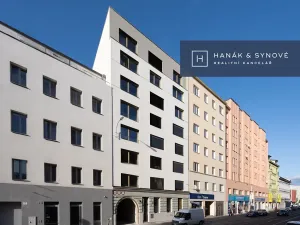 Pronájem bytu 1+kk, Brno, Cejl, 36 m2