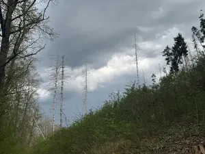 Prodej pozemku, Boršov nad Vltavou, 7673 m2