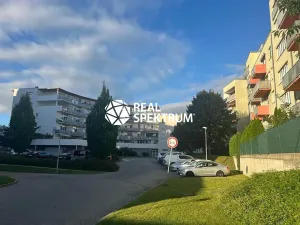 Pronájem bytu 3+kk, Brno, Lučiny, 78 m2