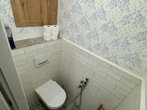 Pronájem bytu 1+1, Hranice, Masarykovo náměstí, 46 m2