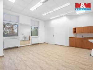 Pronájem obchodního prostoru, Ústí nad Labem - Severní Terasa, Šrámkova, 33 m2