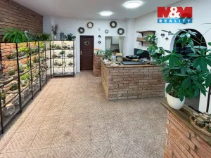 Prodej obchodního prostoru, Praha - Holešovice, Přístavní, 47 m2