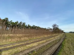 Dražba lesa, Kostelní Lhota, 9438 m2