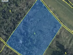 Dražba lesa, Kropáčova Vrutice, 15167 m2