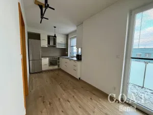 Pronájem bytu 1+kk, Plzeň, Vysoká, 38 m2